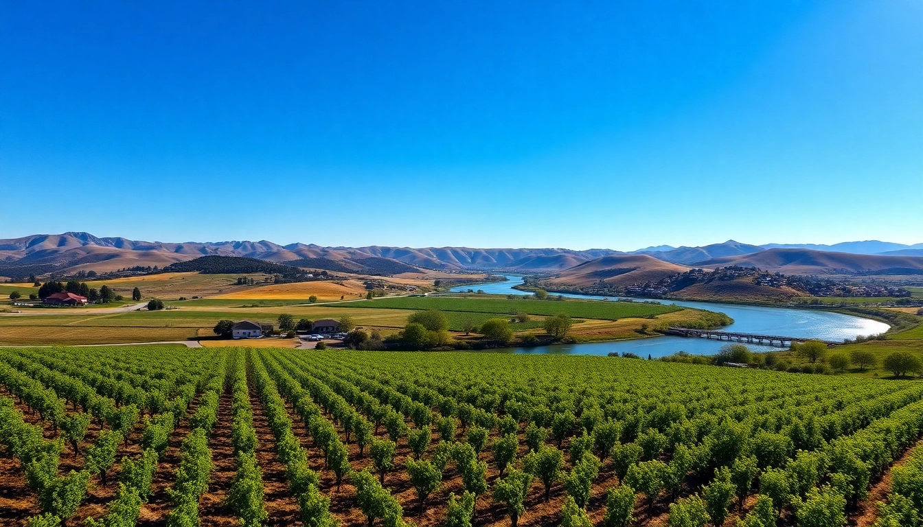 Explore where is clarksburg California through vibrant vineyards and beautiful rural landscapes.